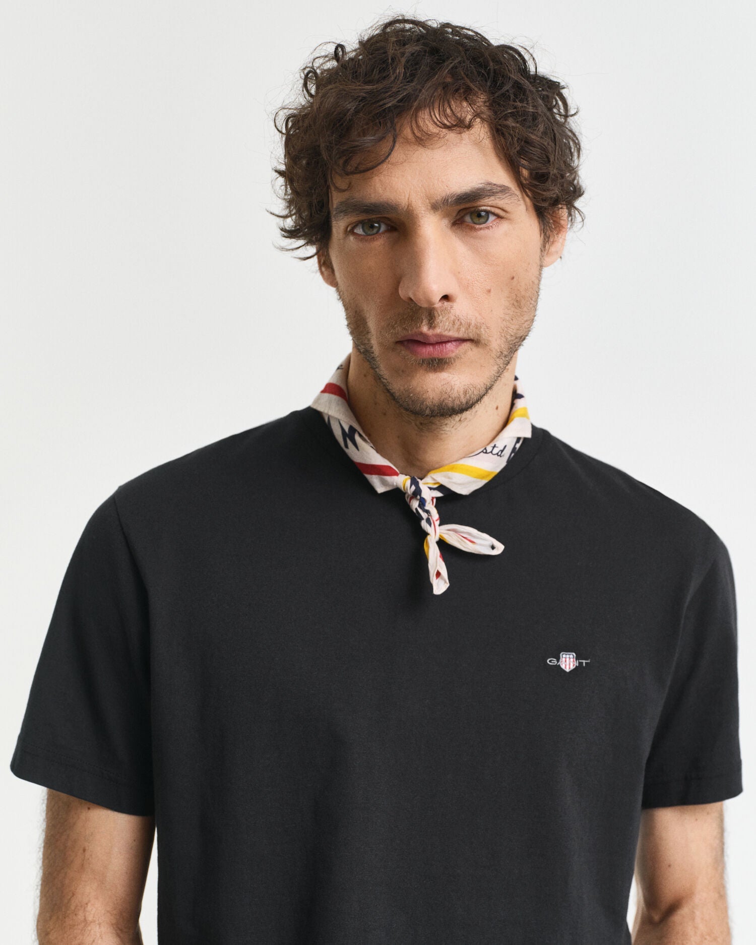 Regular Fit Shield T-Shirt